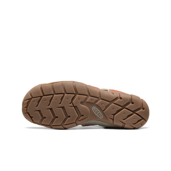 Men's Clearwater CNX  |  Burnt Brick/Safari