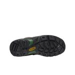 Men's Pittsburgh Energy 6 Waterproof Boot (Soft Toe)  |  Cascade Brown/Greener Pastures