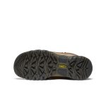 Women's Targhee IV Waterproof Hiking Boot | Bison/Beaujolais