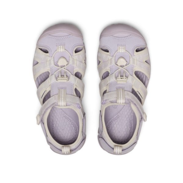 Big Kids' Seacamp II CNX  |  Thistle/Star White