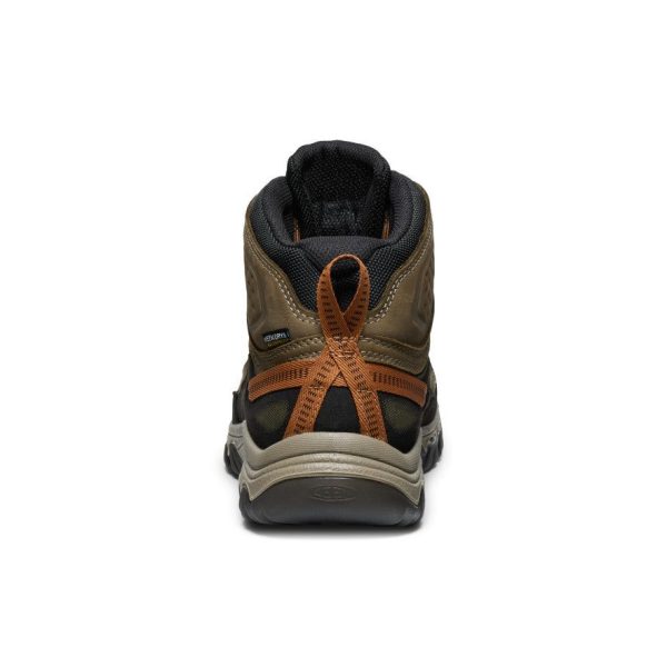 Men's Targhee IV Waterproof Hiking Boot  |  Sea Turtle/Roasted Pecan