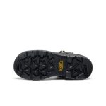 Men's Targhee IV Waterproof Work Boot (Carbon Toe)  |  Magnet/Black