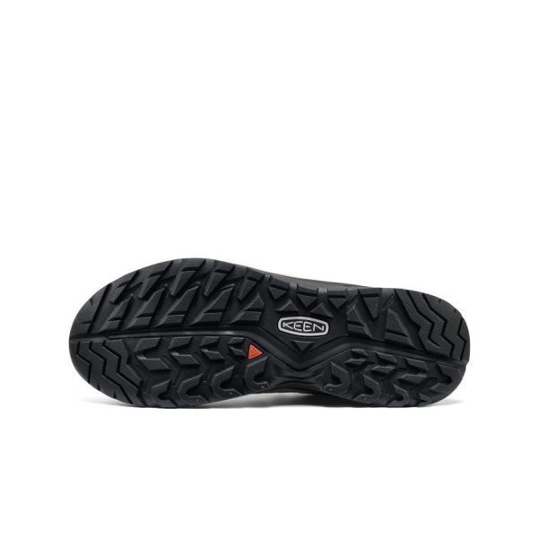 Men's Hightrail Waterproof Hiking Shoe  |  Chipmunk/Safari