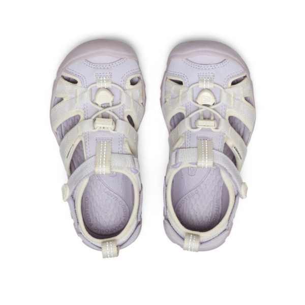 Little Kids' Seacamp II CNX | Thistle/Star White