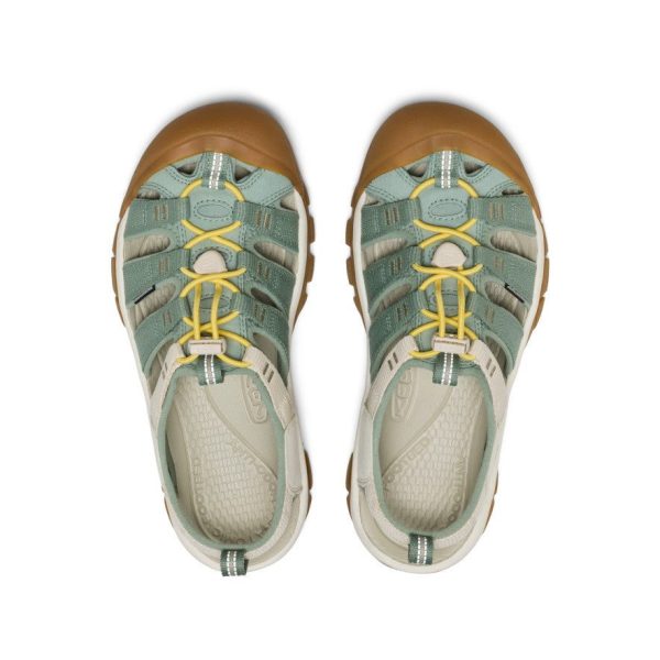 Women's Newport H2  |  Tri-Block Lily Pad