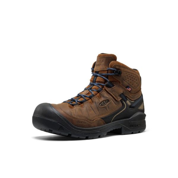 Men's Targhee IV LTR Waterproof Work Boot (Carbon Toe)  |  Bison/Black