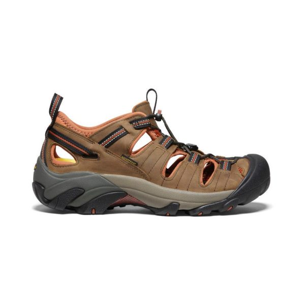 Men's Arroyo II | Black Olive/Bombay Brown