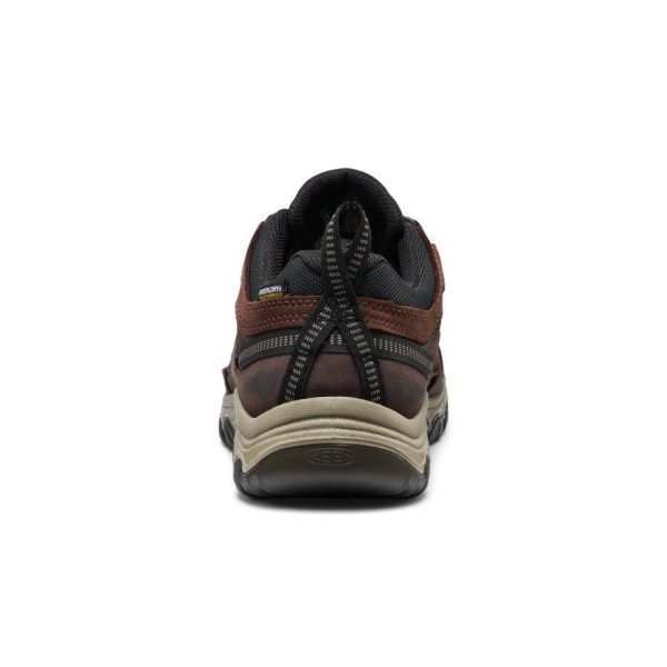 Men's Targhee IV Waterproof Hiking Shoe | Java/Bison