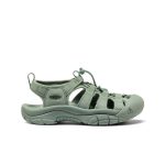 Women's Newport H2  |  Monochrome/Lily Pad