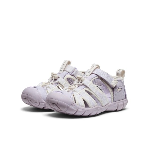 Little Kids' Seacamp II CNX | Thistle/Star White