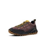 Men's Jasper Zionic Sneaker  |  Java/Cream Gold