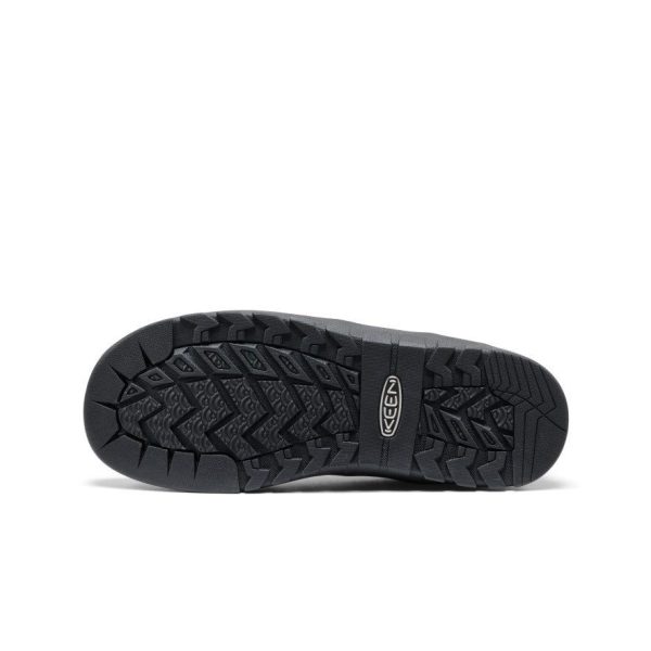 Women's Jasper Rocks Sneaker | Black/Gold