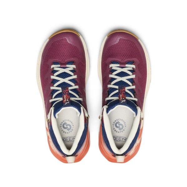 Women's Targhee Apex Waterproof Hiking Boot  |  Fig/Burnt Brick