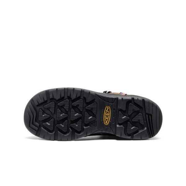 Men's Targhee IV LTR Waterproof Work Boot (Carbon Toe)  |  Bison/Black