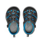 Toddlers' Newport H2  |  Magnet/Brilliant Blue