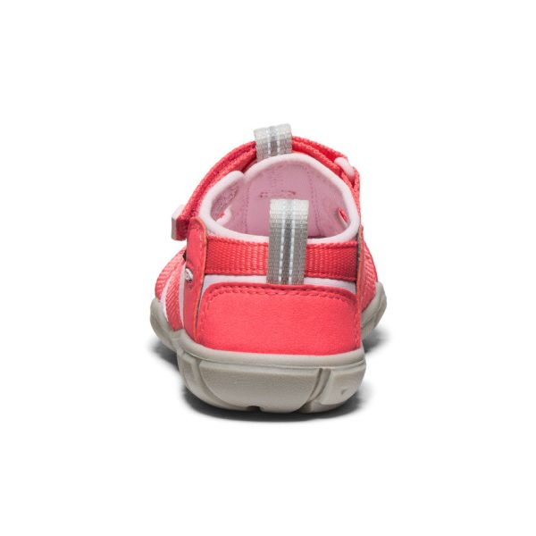 Little Kids' Seacamp II CNX  |  Dubarry/Giggle Pink