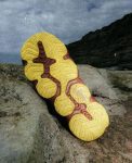 Women's Hyperport H2 Sandal x Hiking Patrol | Algae Green