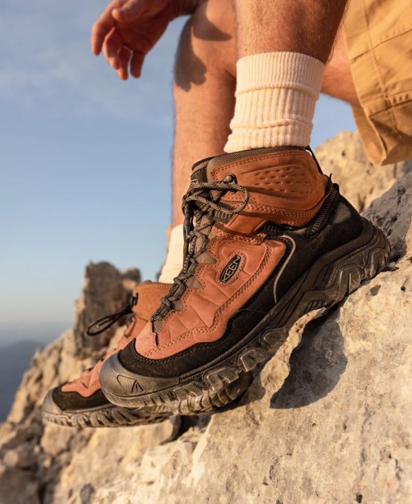 Men's Targhee IV Waterproof Hiking Boot  |  Coyote/Gold Flame