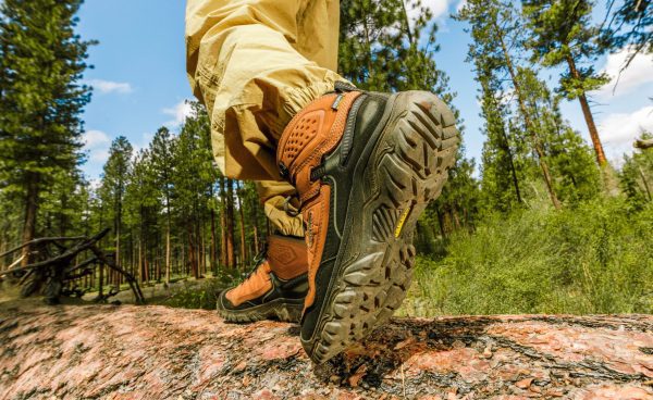 Men's Targhee IV Waterproof Hiking Boot | Brindle/Canteen