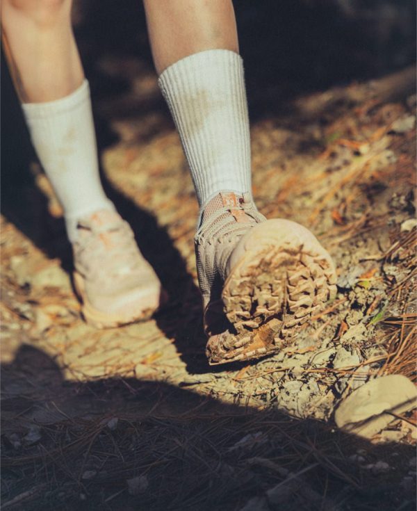 Women's Targhee Apex Waterproof Hiking Shoe  |  Abbey Stone/Birch