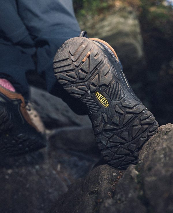 Men's Targhee IV Waterproof Hiking Shoe  |  Sea Turtle/Roasted Pecan