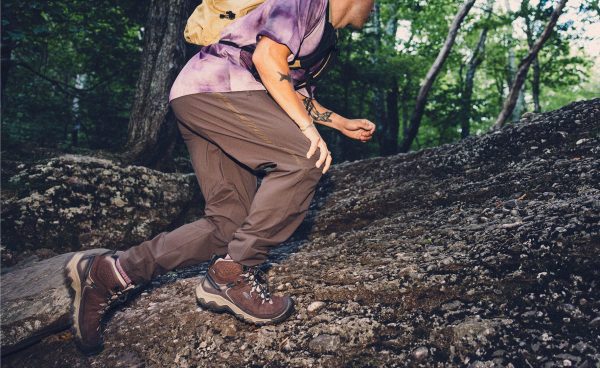 Men's Targhee IV Waterproof Hiking Boot  |  Java/Brindle