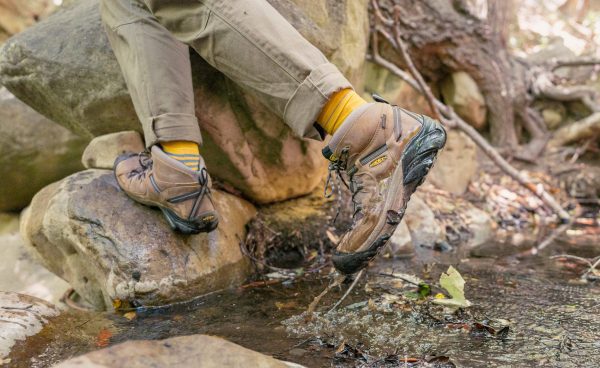 Men's Targhee II Waterproof Mid Wide | Shitake/Brindle