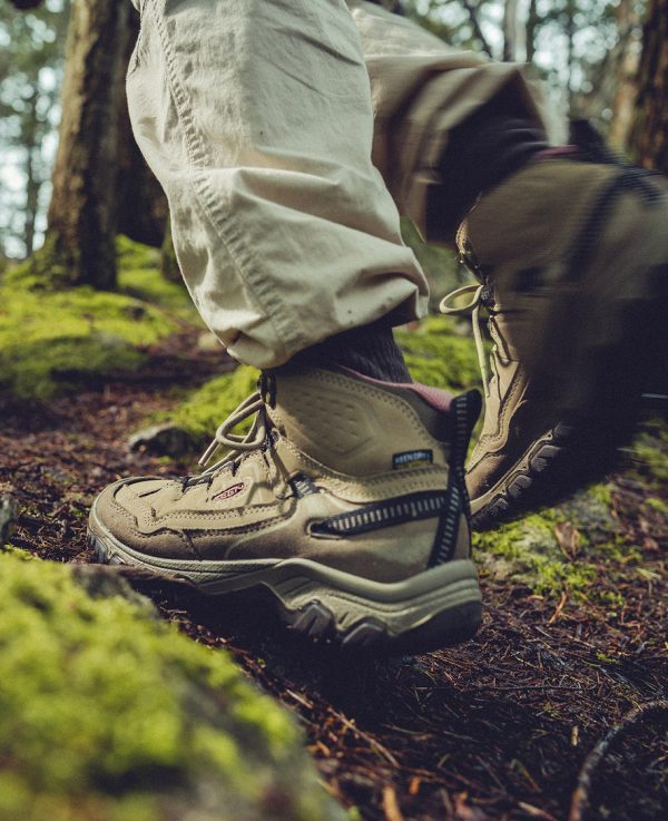 Women's Targhee IV Waterproof Hiking Boot  |  Coyote/Peach Fuzz