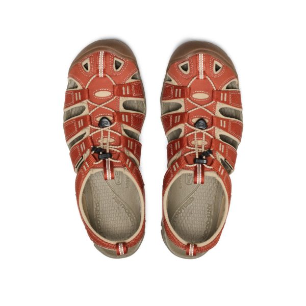 Men's Clearwater CNX  |  Burnt Brick/Safari