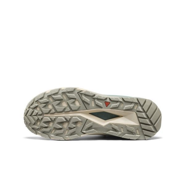 Men's Targhee Apex Waterproof Hiking Boot  |  Abbey Stone/Birch