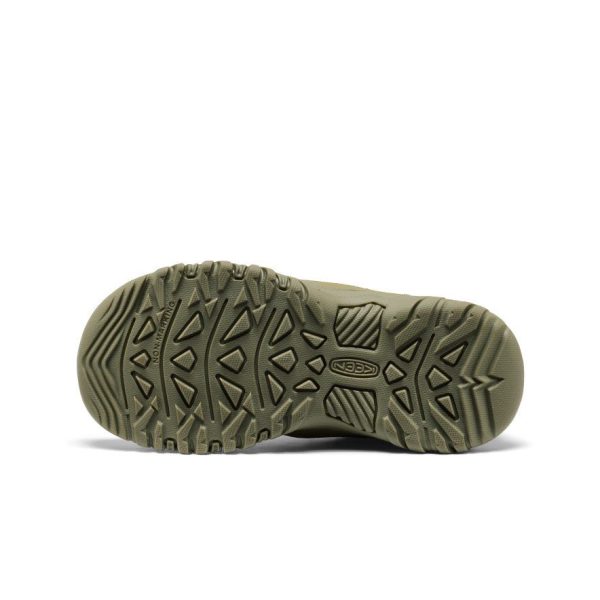Big Kids' Targhee IV Waterproof Hiking Shoe  |  Martini Olive