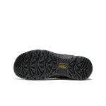Men's Targhee IV Wide Waterproof Hiking Shoe  |  Bison/Black