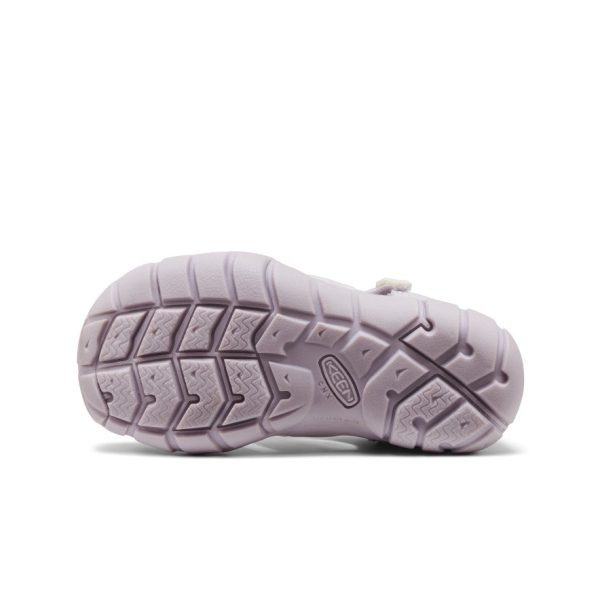 Little Kids' Seacamp II CNX | Thistle/Star White