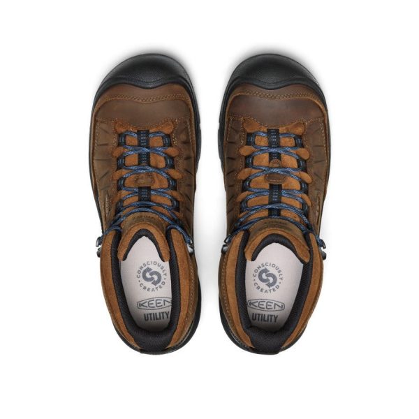 Men's Targhee IV LTR Waterproof Work Boot (Carbon Toe)  |  Bison/Black