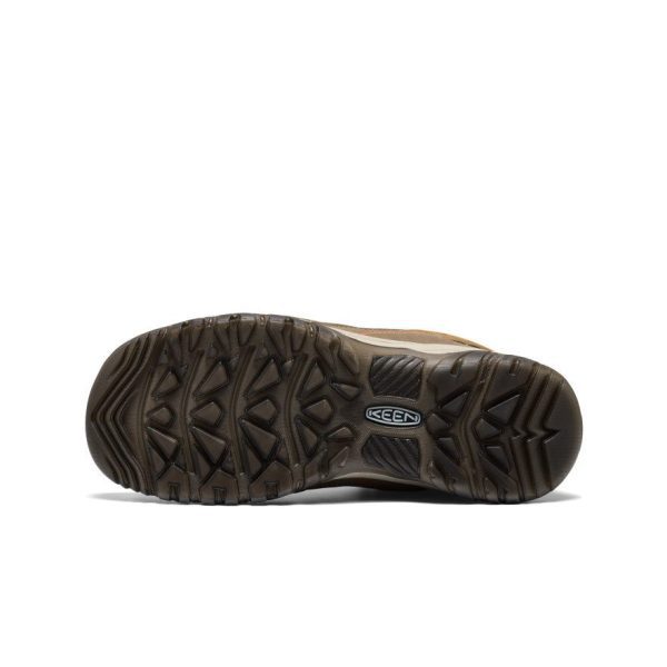 Men's Targhee IV Waterproof Hiking Boot  |  Coyote/Gold Flame
