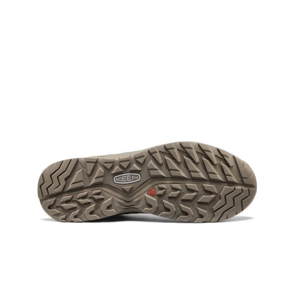 Men's Hightrail EXP Waterproof  |  Lily Pad/Birch