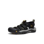 Men's Newport H2 Sandal Wide  |  Black